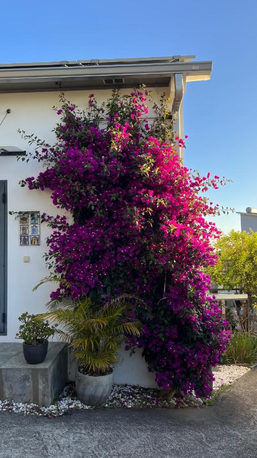 Plumeria Holidays Saint Pierre Eksteriør bilde
