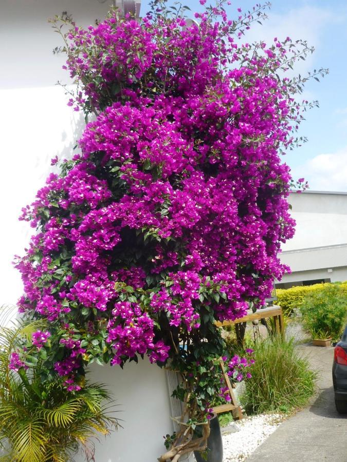 Plumeria Holidays Saint Pierre Eksteriør bilde